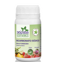 Basei   2C   —   Fongicide   Naturel   au   Bicarbonate   de   Sodium   (240   g)